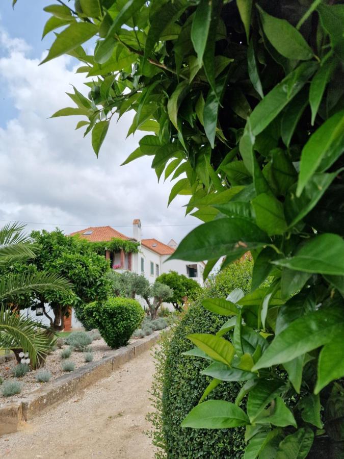 Casa Nikana Turcifal Luaran gambar
