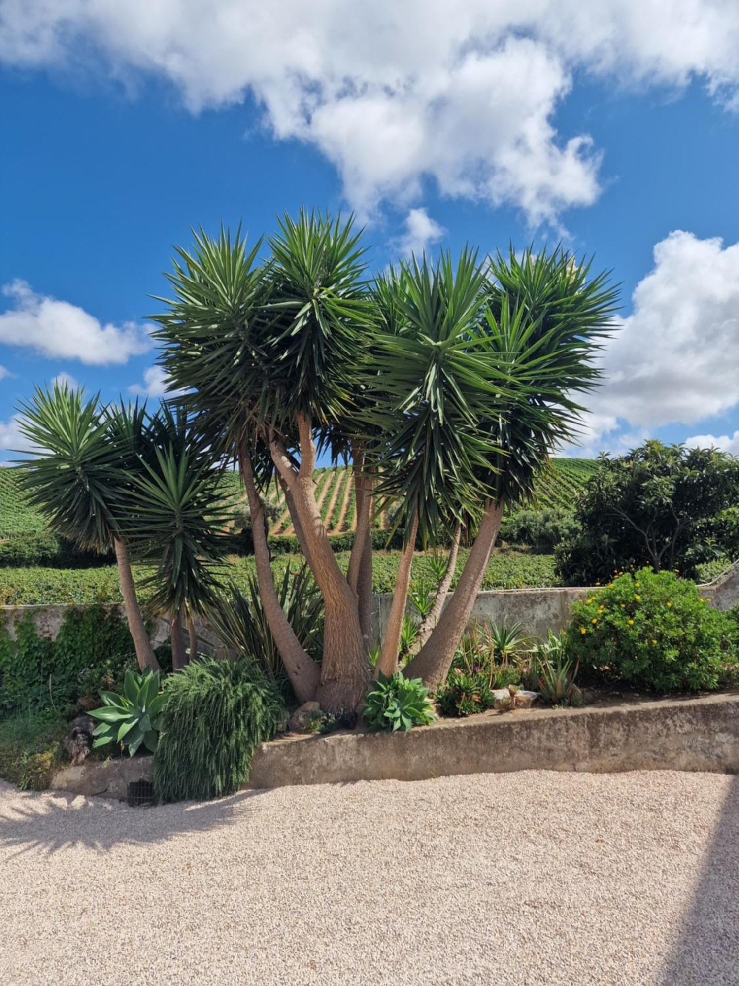 Casa Nikana Turcifal Luaran gambar