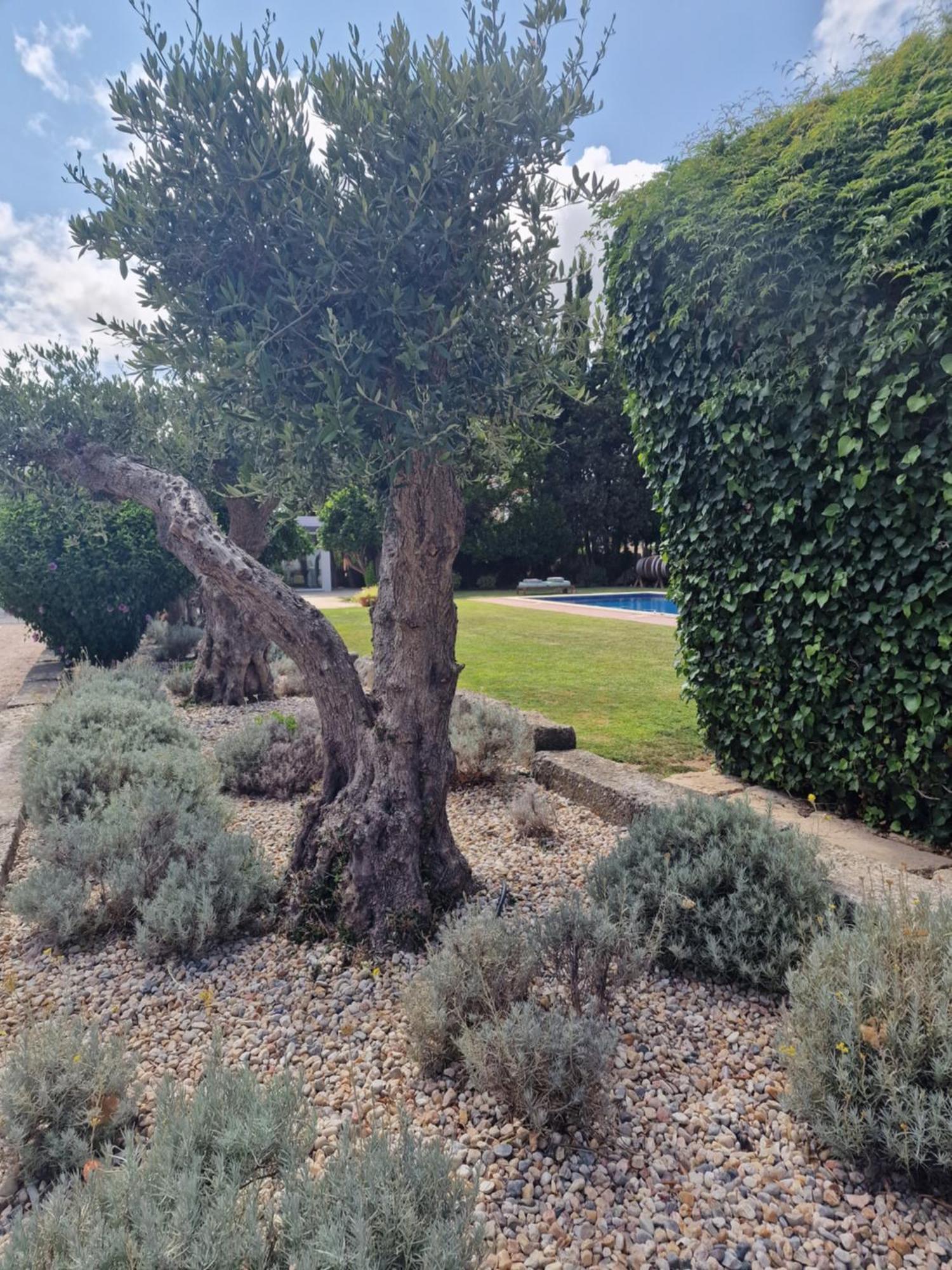 Casa Nikana Turcifal Luaran gambar